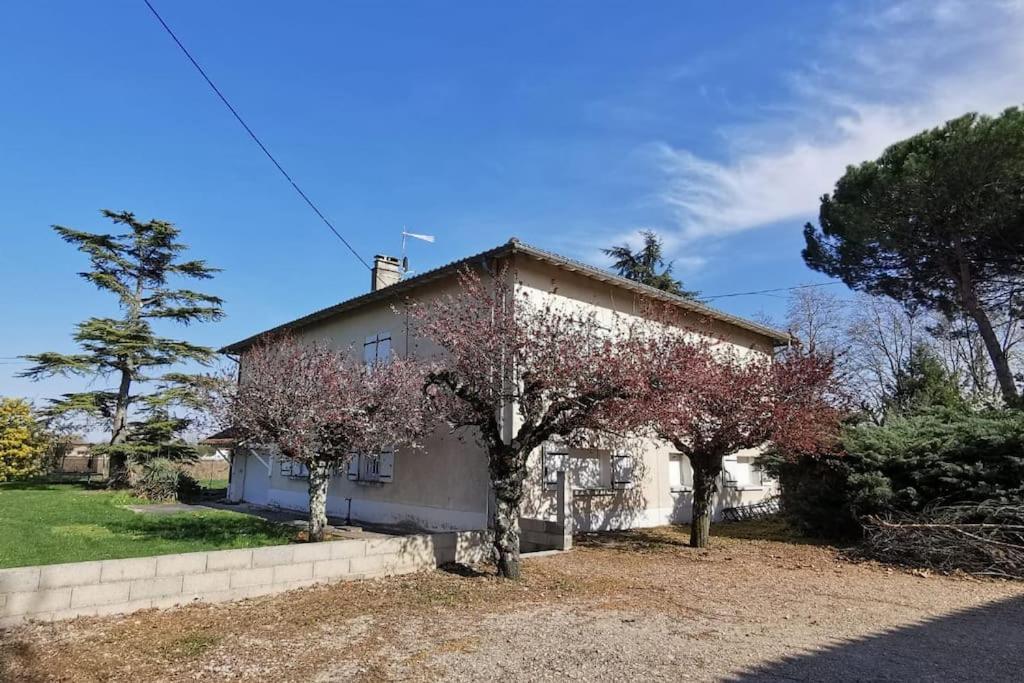 Maison Gaillacoise Kültér fotó