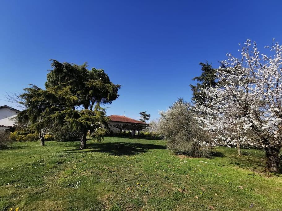 Maison Gaillacoise Kültér fotó